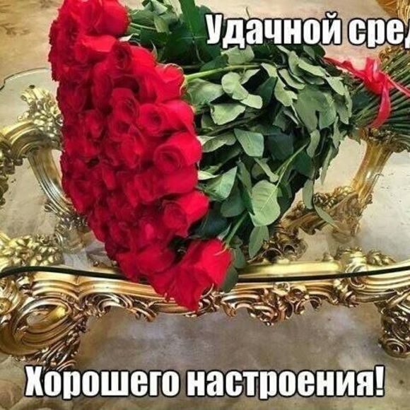 Meet your Posher, Kara - Picture 2 of 2